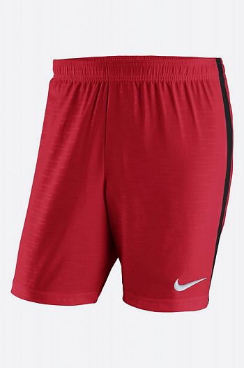 Шорты Nike